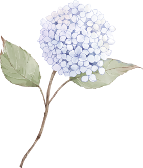 orn-gift